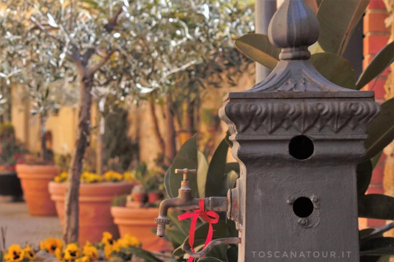 Toscana Tour - Cottage Buon Risveglio With Aircon, Fenced Garden Montescudaio Italy